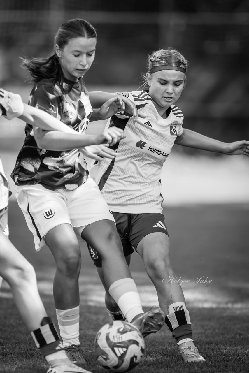 Bild 62 - wBJ Hamburger SV - VfL Wolfsburg : Ergebnis: 5:1